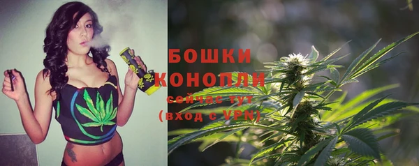 каннабис Арсеньев